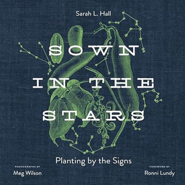 Sown in the Stars - Image 2